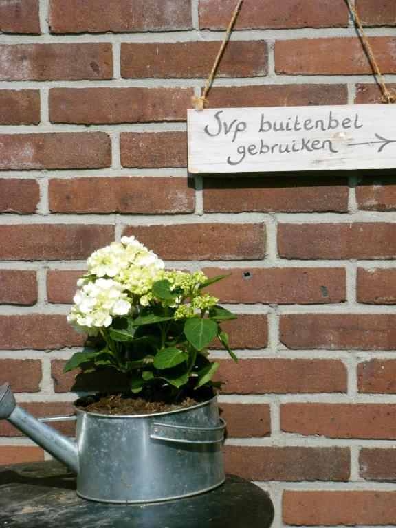Wachtum Molenvoort Bed & Breakfast エクステリア 写真